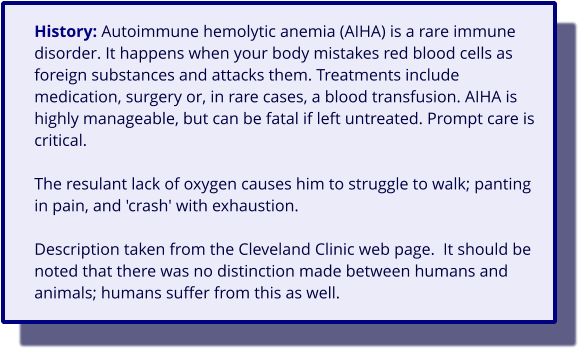 History: Autoimmune hemolytic anemia (AIHA) is a rare immune disorder. It happens when your body mistakes red blood cells as foreign substances and attacks them. Treatments include medication, surgery or, in rare cases, a blood transfusion. AIHA is highly manageable, but can be fatal if left untreated. Prompt care is critical.  The resulant lack of oxygen causes him to struggle to walk; panting in pain, and 'crash' with exhaustion.  Description taken from the Cleveland Clinic web page.  It should be noted that there was no distinction made between humans and animals; humans suffer from this as well.