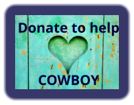 Donate to help   COWBOY