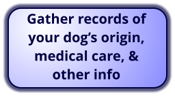 Gather records of your dog’s origin, medical care, & other info