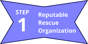 Reputable Rescue Organization  1 STEP
