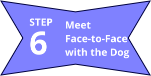 Meet Face-to-Face with the Dog 6 STEP