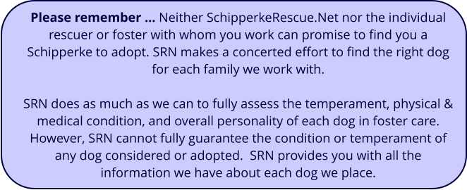 Please remember … Neither SchipperkeRescue.Net nor the individual rescuer or foster with whom you work can promise to find you a Schipperke to adopt. SRN makes a concerted effort to find the right dog for each family we work with.  SRN does as much as we can to fully assess the temperament, physical & medical condition, and overall personality of each dog in foster care. However, SRN cannot fully guarantee the condition or temperament of any dog considered or adopted.  SRN provides you with all the  information we have about each dog we place.