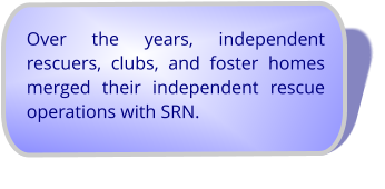 Over the years, independent rescuers, clubs, and foster homes merged their independent rescue operations with SRN.