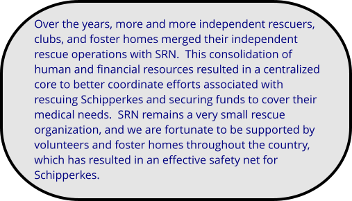 Over the years, more and more independent rescuers, clubs, and foster homes merged their independent rescue operations with SRN.  This consolidation of human and financial resources resulted in a centralized core to better coordinate efforts associated with rescuing Schipperkes and securing funds to cover their medical needs.  SRN remains a very small rescue organization, and we are fortunate to be supported by volunteers and foster homes throughout the country, which has resulted in an effective safety net for Schipperkes.