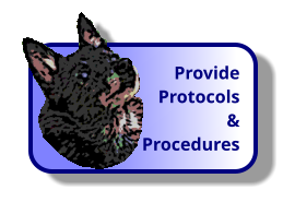 Provide Protocols & Procedures