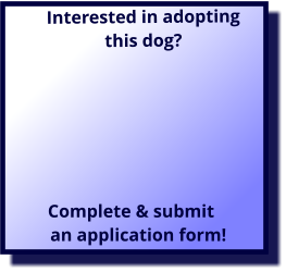 Interested in adopting this dog?          Complete & submit        an application form!