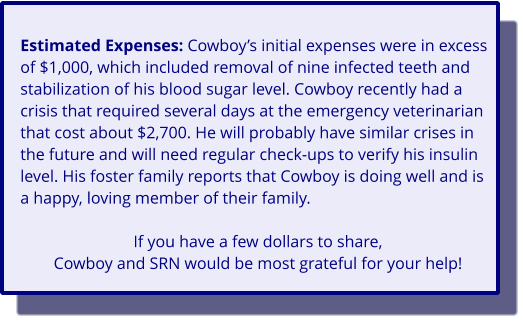 Estimated Expenses: Cowboy’s initial expenses were in excess of $1,000, which included removal of nine infected teeth and stabilization of his blood sugar level. Cowboy recently had a crisis that required several days at the emergency veterinarian that cost about $2,700. He will probably have similar crises in the future and will need regular check-ups to verify his insulin level. His foster family reports that Cowboy is doing well and is a happy, loving member of their family.  If you have a few dollars to share,Cowboy and SRN would be most grateful for your help!