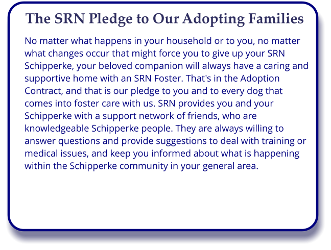 No matter what happens in your household or to you, no matter what changes occur that might force you to give up your SRN Schipperke, your beloved companion will always have a caring and supportive home with an SRN Foster. That's in the Adoption Contract, and that is our pledge to you and to every dog that comes into foster care with us. SRN provides you and your Schipperke with a support network of friends, who are knowledgeable Schipperke people. They are always willing to answer questions and provide suggestions to deal with training or medical issues, and keep you informed about what is happening within the Schipperke community in your general area. The SRN Pledge to Our Adopting Families